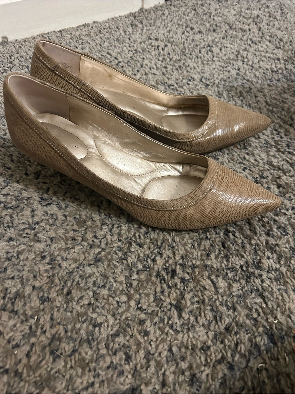 Biviel Classic Nude Snakeskin Pointed Toe Pumps 8.5